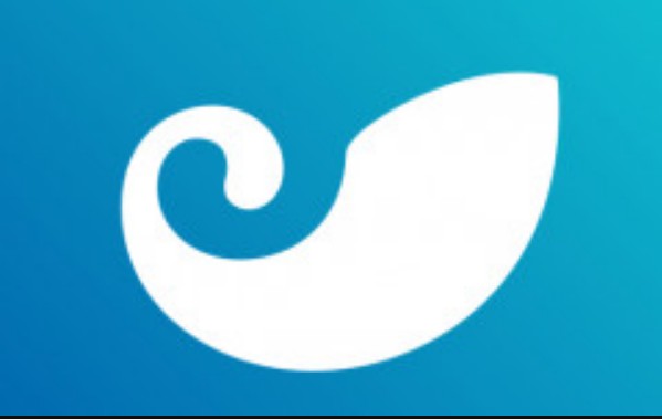 <strong>token钱包ASS币(a token钱包)</strong>